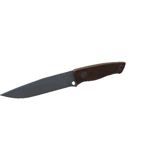 Survival Knife (Old)